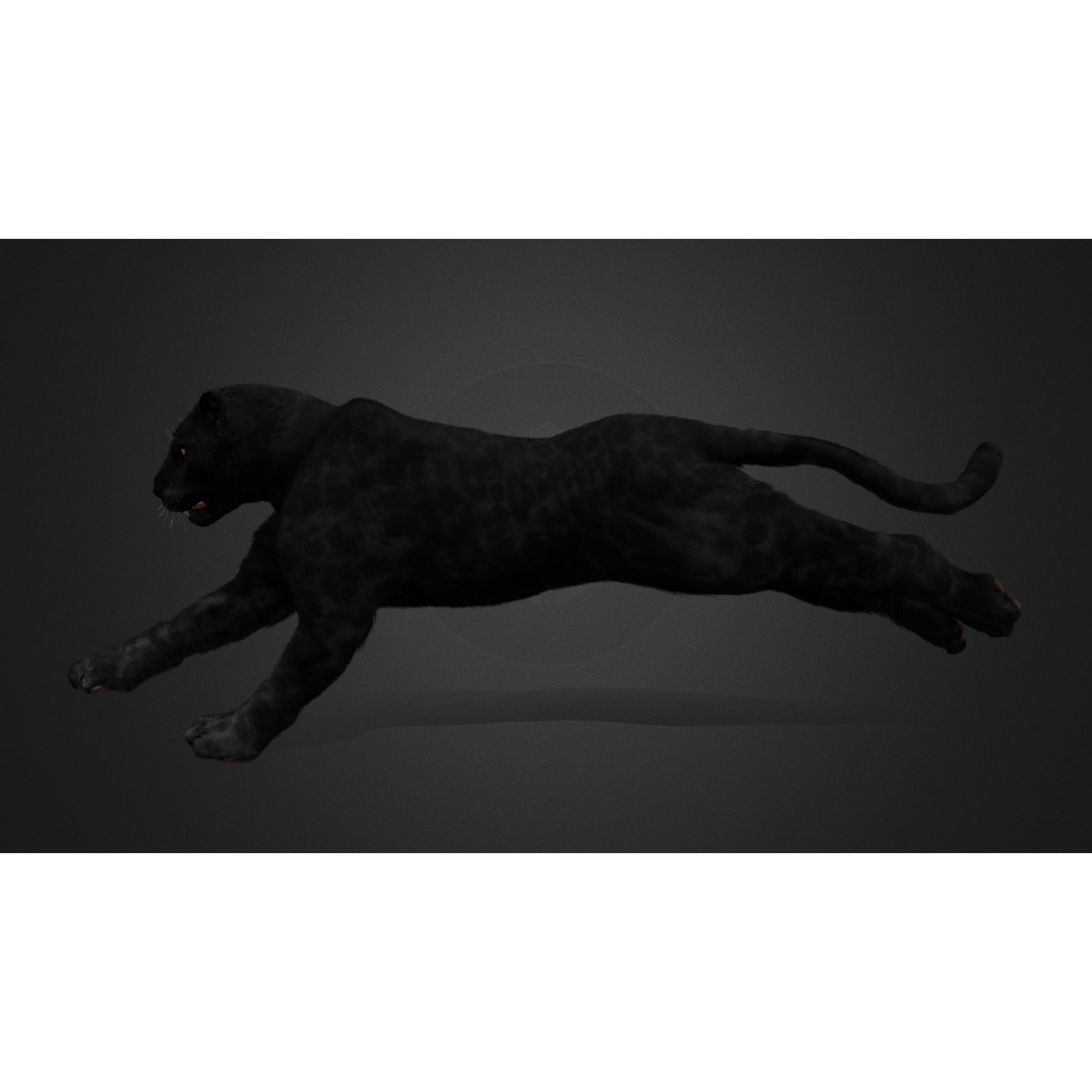 Realistic Panther 3D Model – Animated Rigged Asset for Unreal Engine - View 3