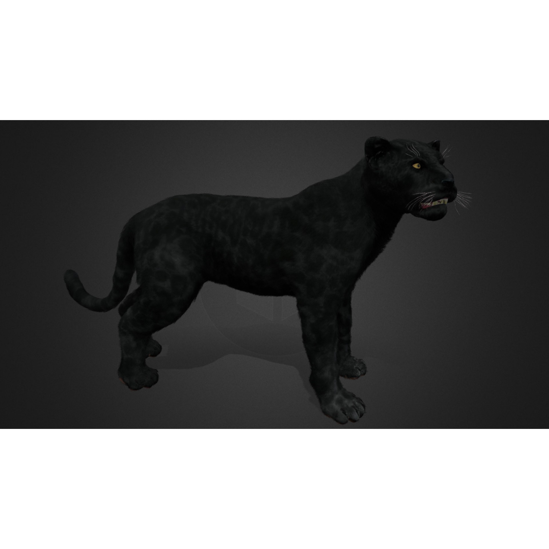 Realistic Panther 3D Model – Animated Rigged Asset for Unreal Engine - View 4