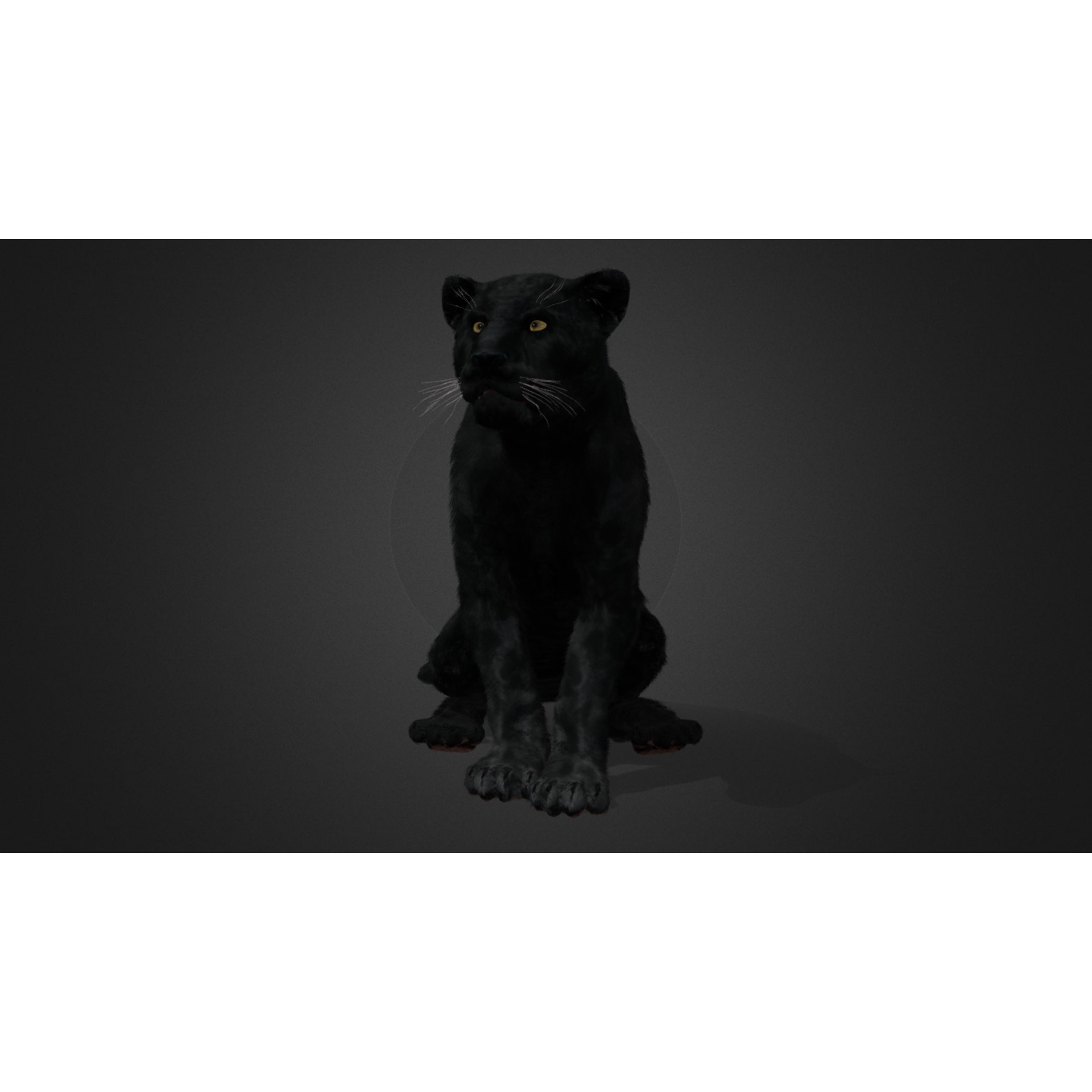 Realistic Panther 3D Model – Animated Rigged Asset for Unreal Engine - View 5