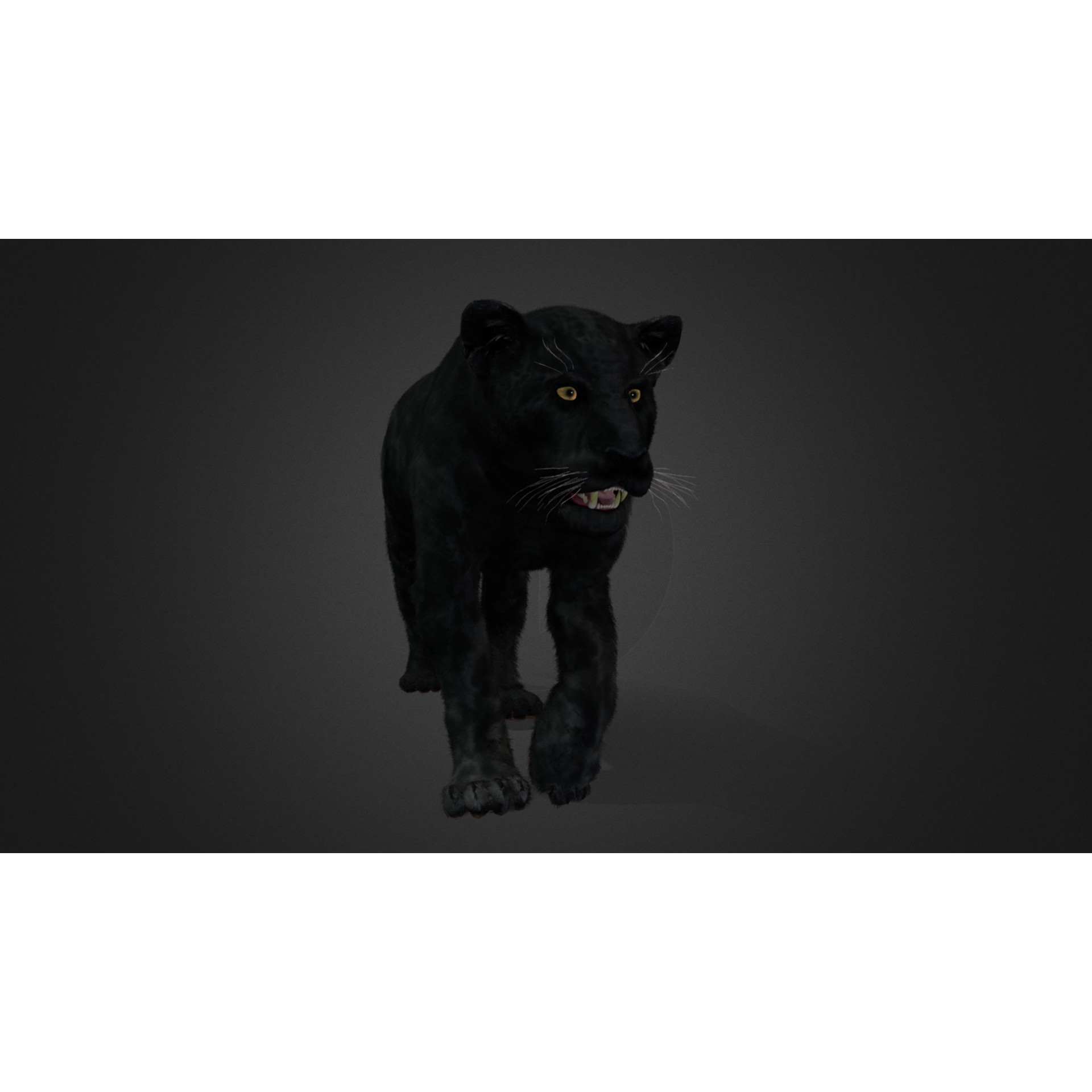 Realistic Panther 3D Model – Animated Rigged Asset for Unreal Engine - View 6