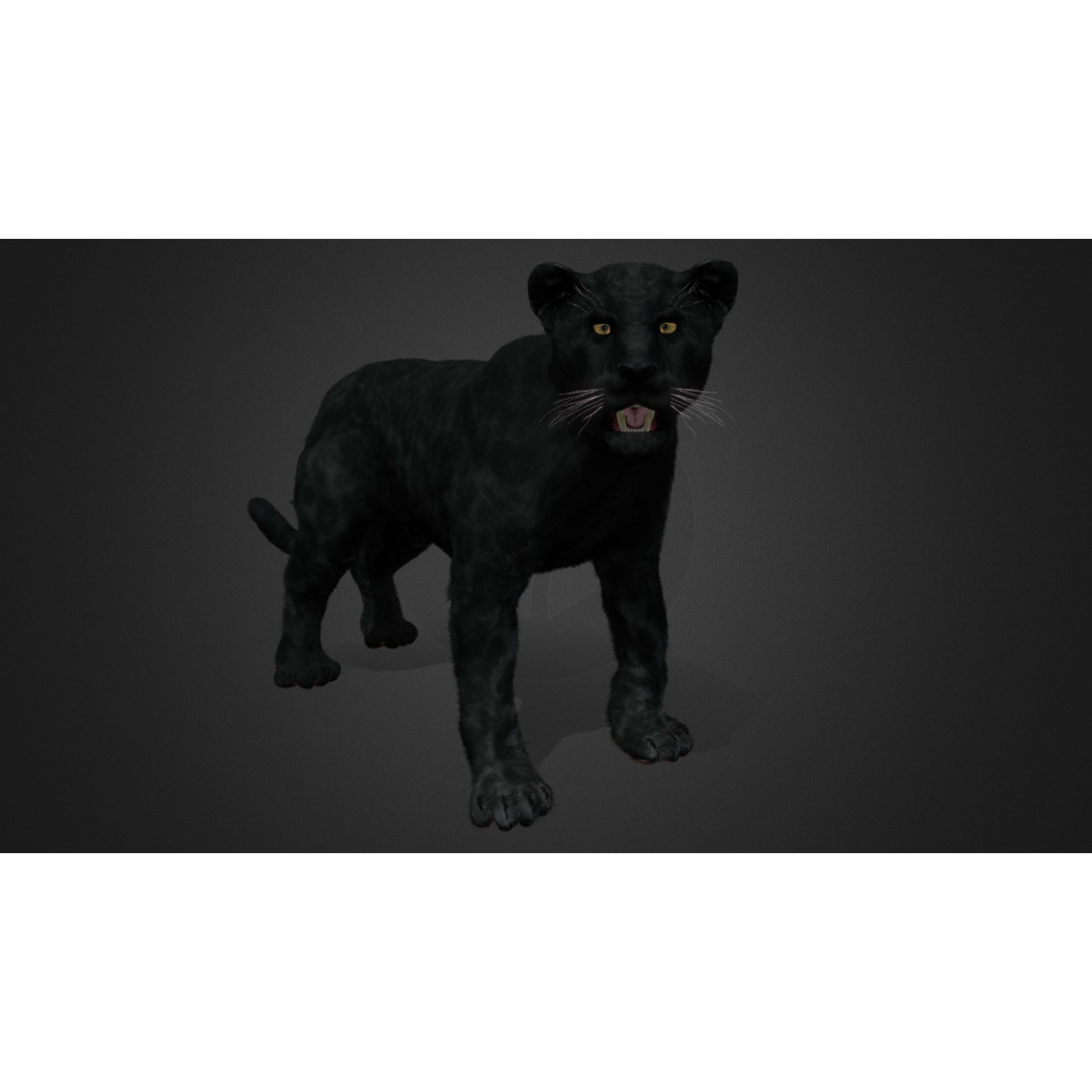 Realistic Panther 3D Model – Animated Rigged Asset for Unreal Engine - View 7