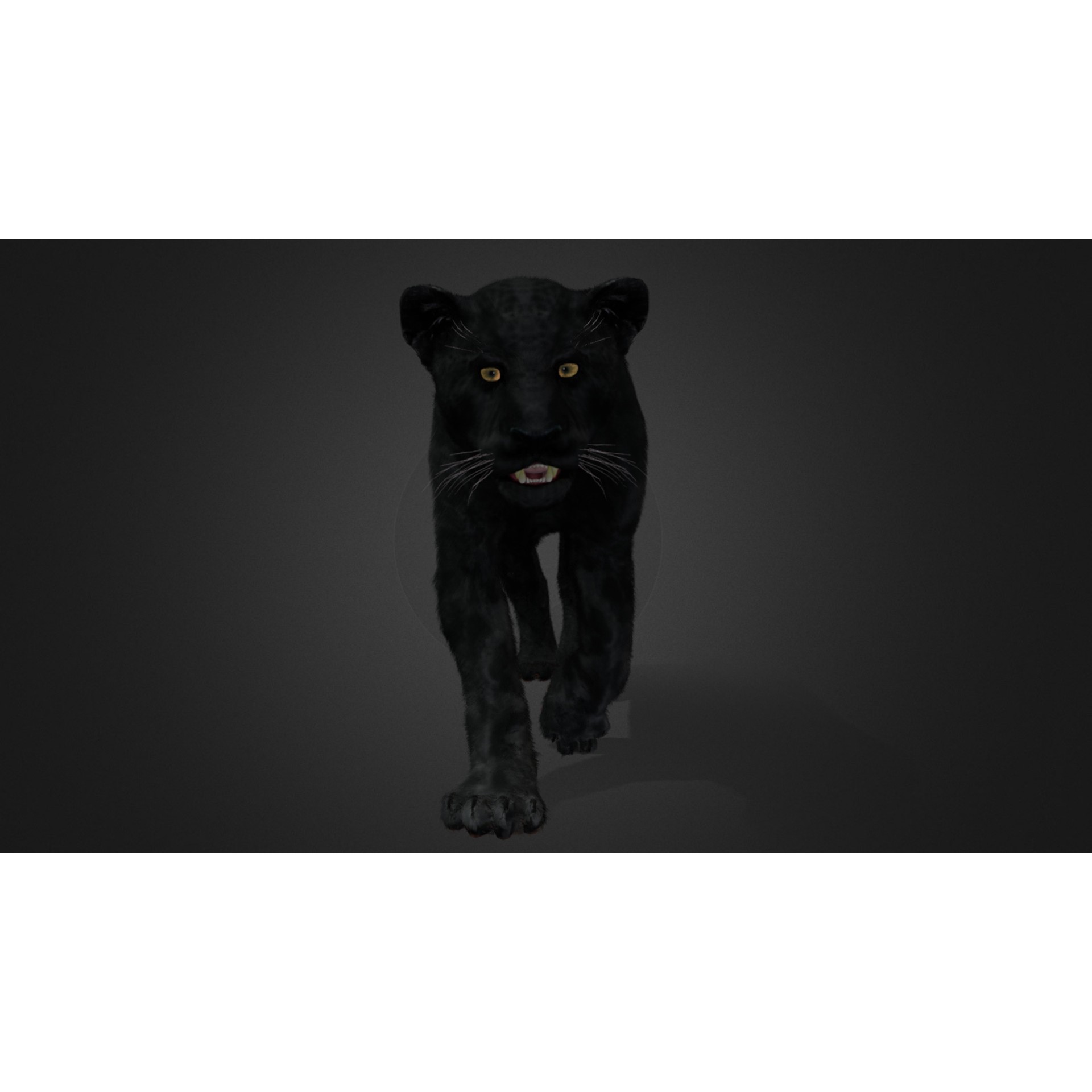 Realistic Panther 3D Model – Animated Rigged Asset for Unreal Engine - View 8