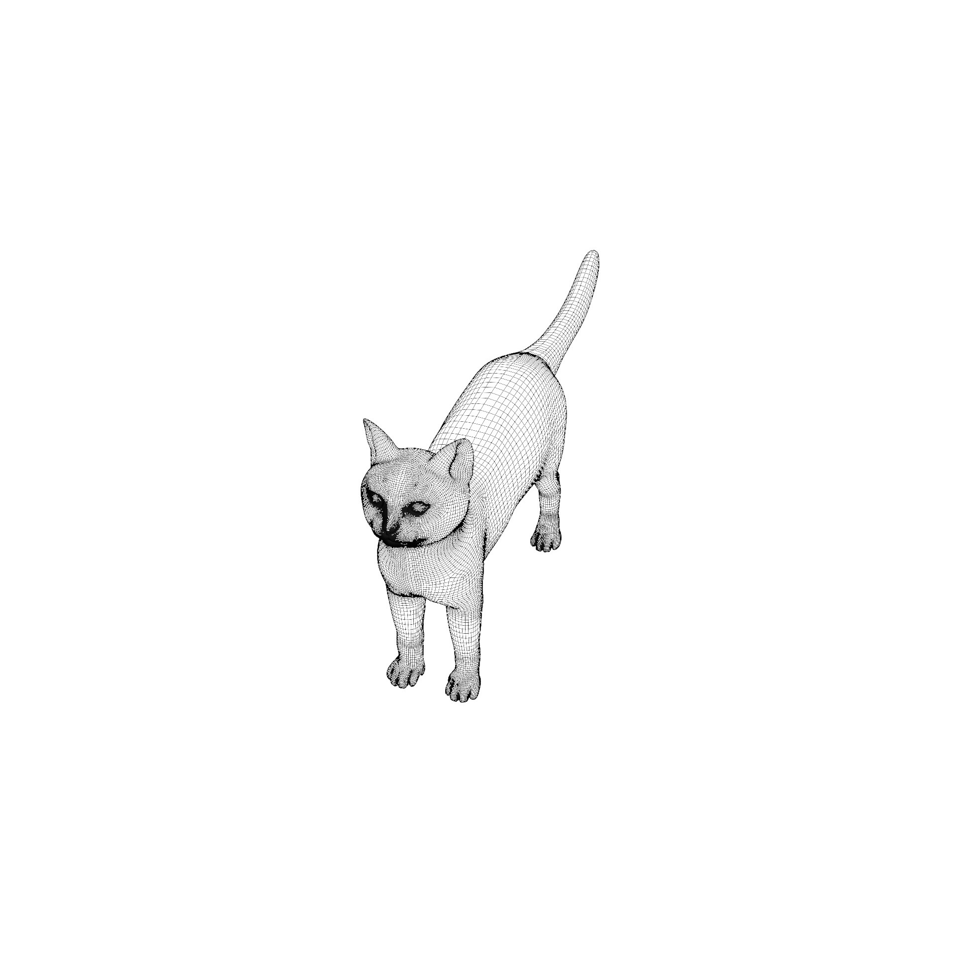 Balinese Cat 3D Model – Low Poly Rigged Asset, FBX & Blender - View 12