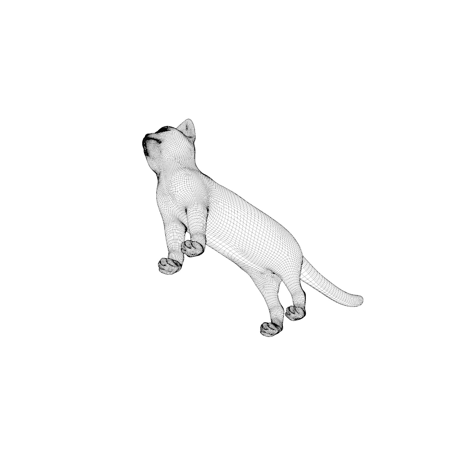 Balinese Cat 3D Model – Low Poly Rigged Asset, FBX & Blender - View 14