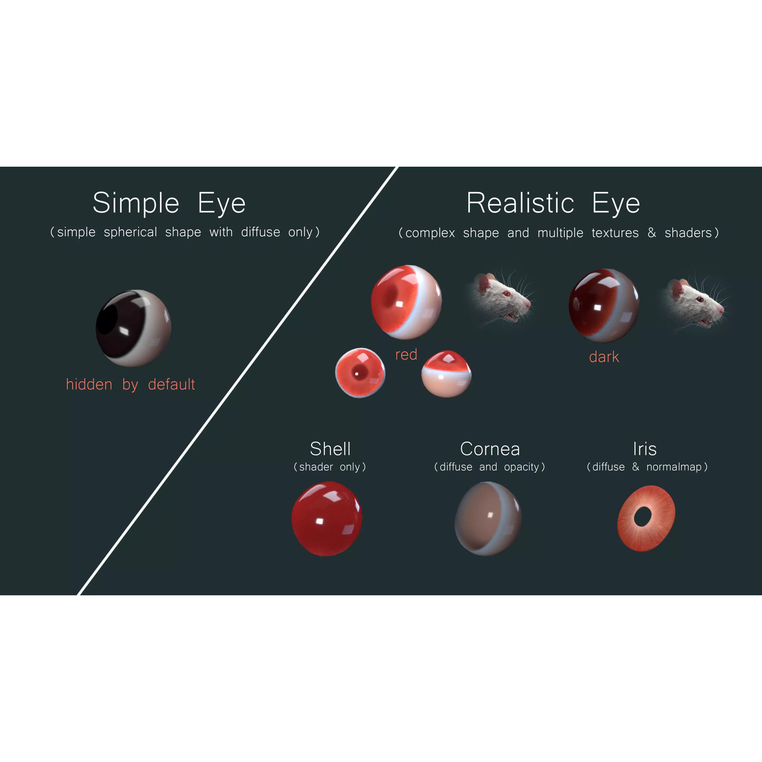 Hairless Rat 3D Model – Rigged Animated Character, FBX, OBJ - View 16