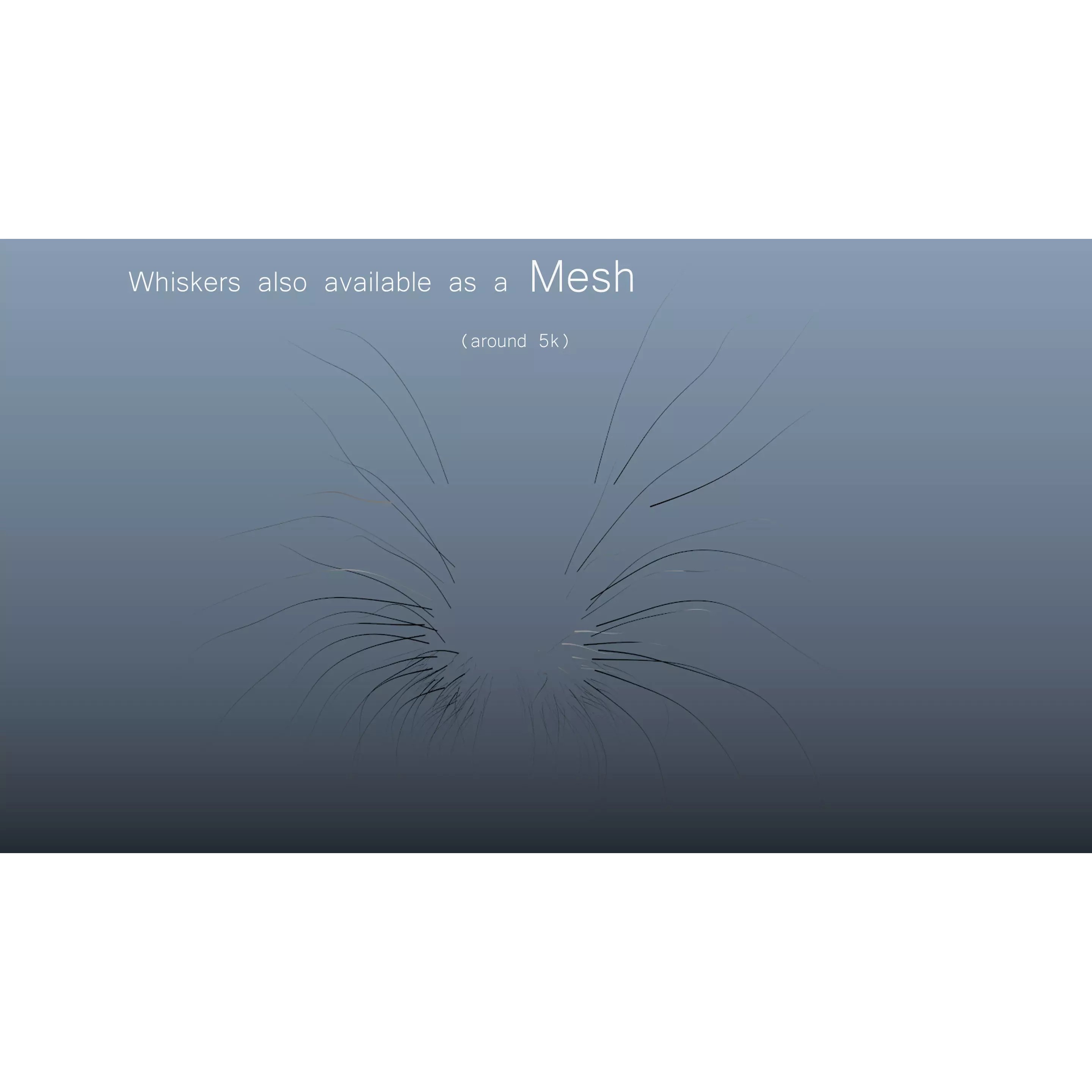 Hairless Rat 3D Model – Rigged Animated Character, FBX, OBJ - View 18