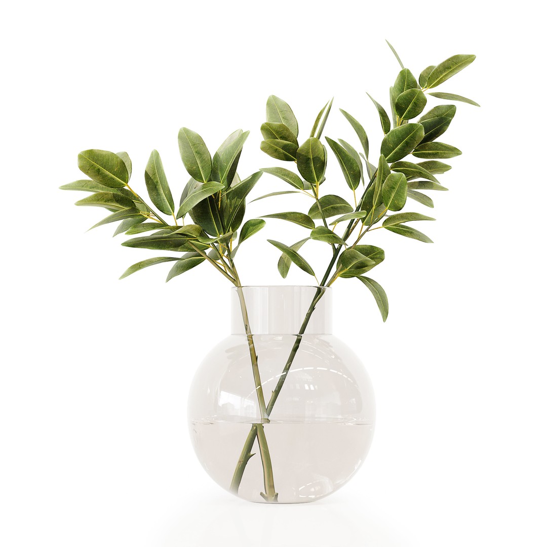 Indoor Plants 3D Model – High Poly PBR Asset, OBJ and 3Dmax