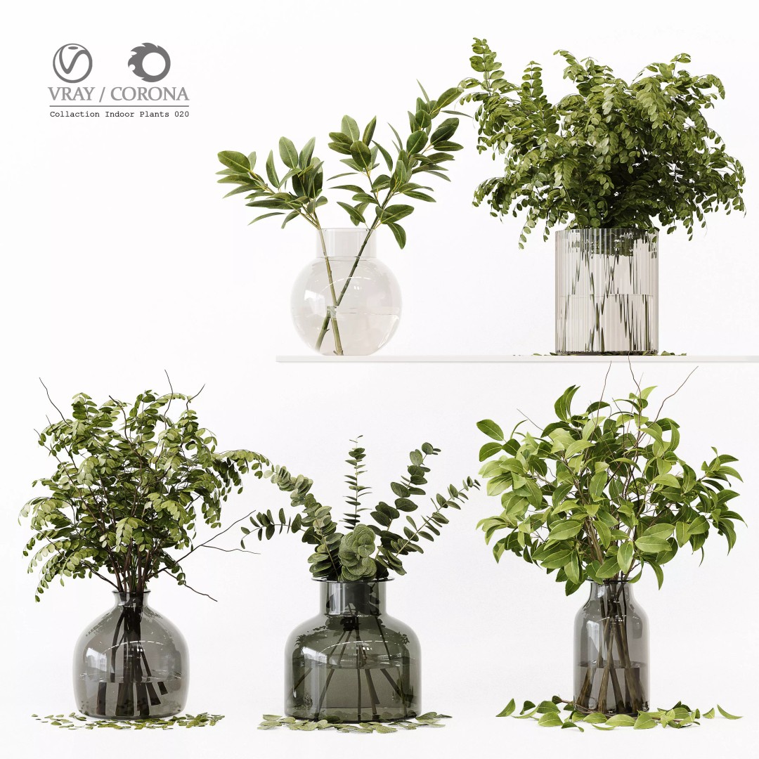 Indoor Plants 3D Model – High Poly PBR Asset, OBJ and 3Dmax - View 2