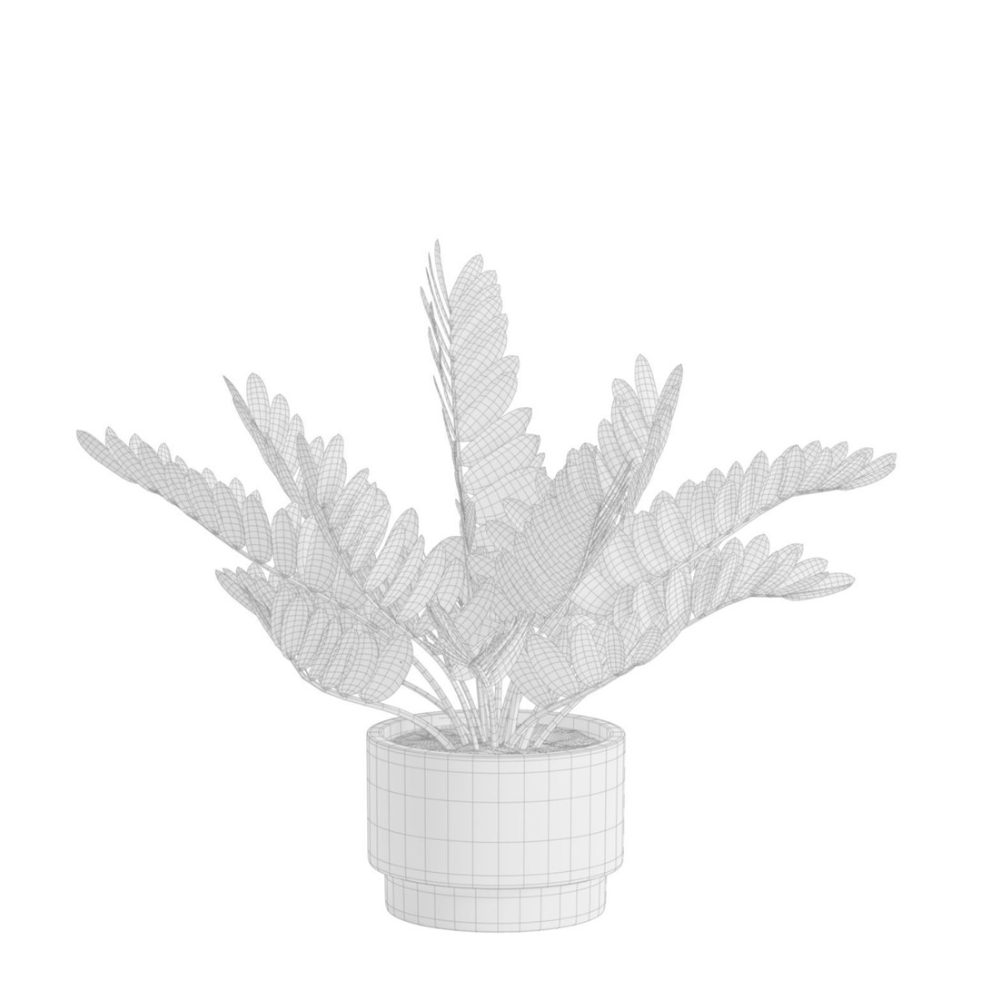 Indoor Plants 3D Model – Exotic Potted Collection, FBX & Blender