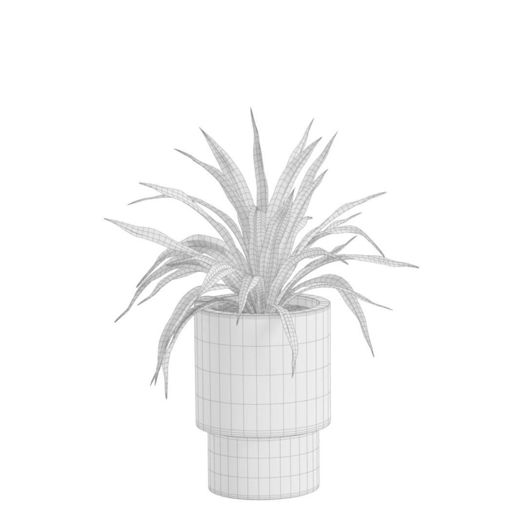 Indoor Plants 3D Model – Exotic Potted Collection, FBX & Blender - View 10