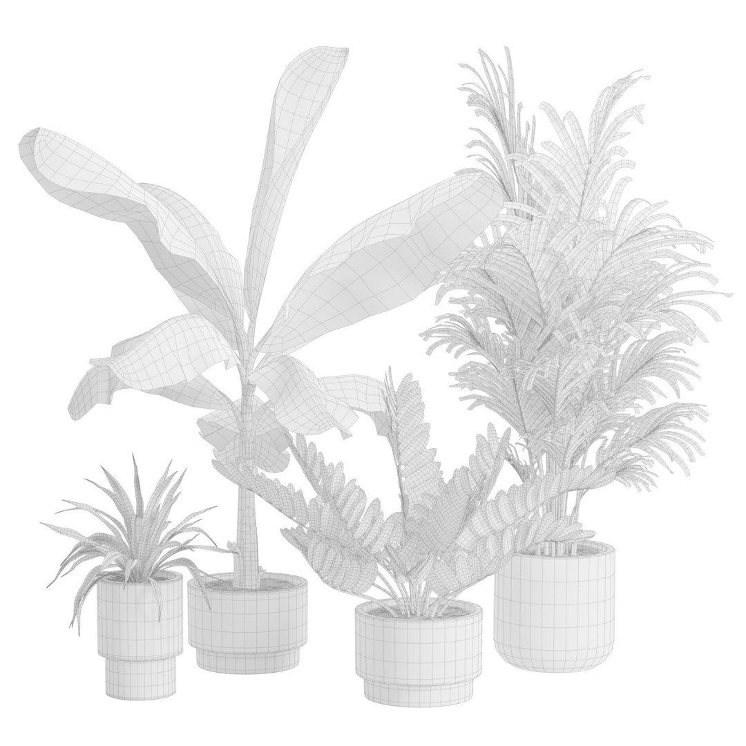 Indoor Plants 3D Model – Exotic Potted Collection, FBX & Blender - View 3