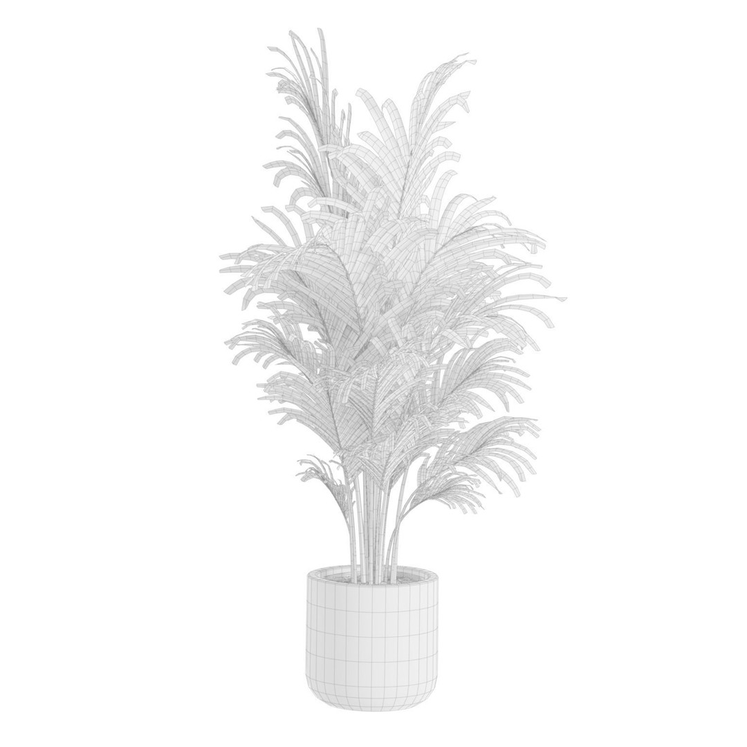 Indoor Plants 3D Model – Exotic Potted Collection, FBX & Blender - View 9