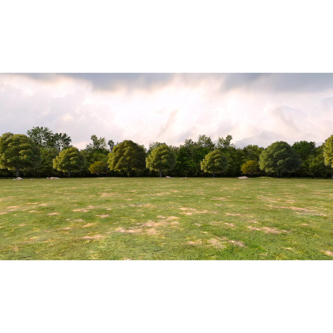 Trees 3D Model – Low Poly Background Asset with PBR Textures - View 2