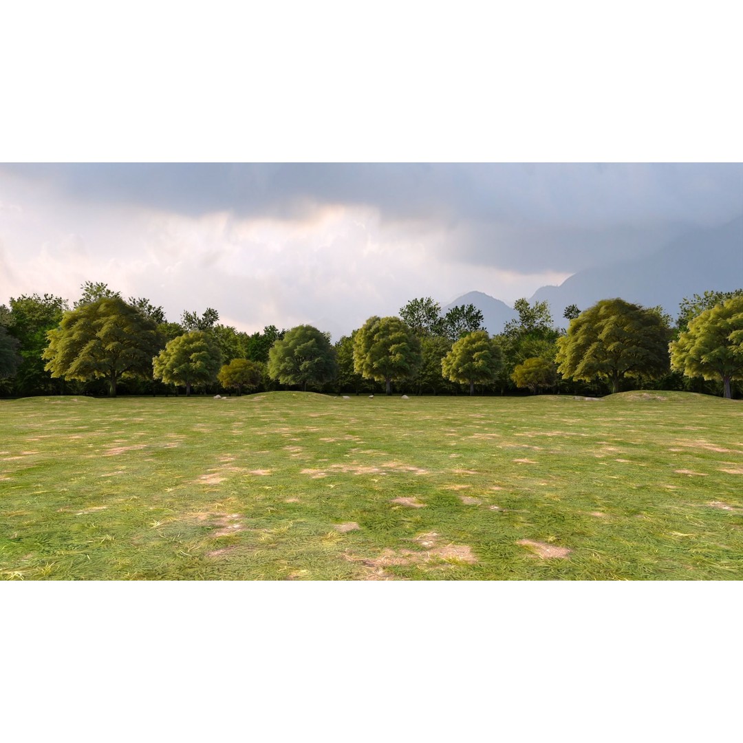 Trees 3D Model – Low Poly Background Asset with PBR Textures - View 4