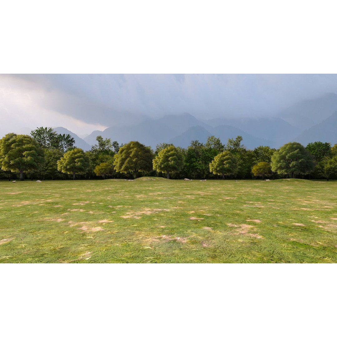 Trees 3D Model – Low Poly Background Asset with PBR Textures - View 5