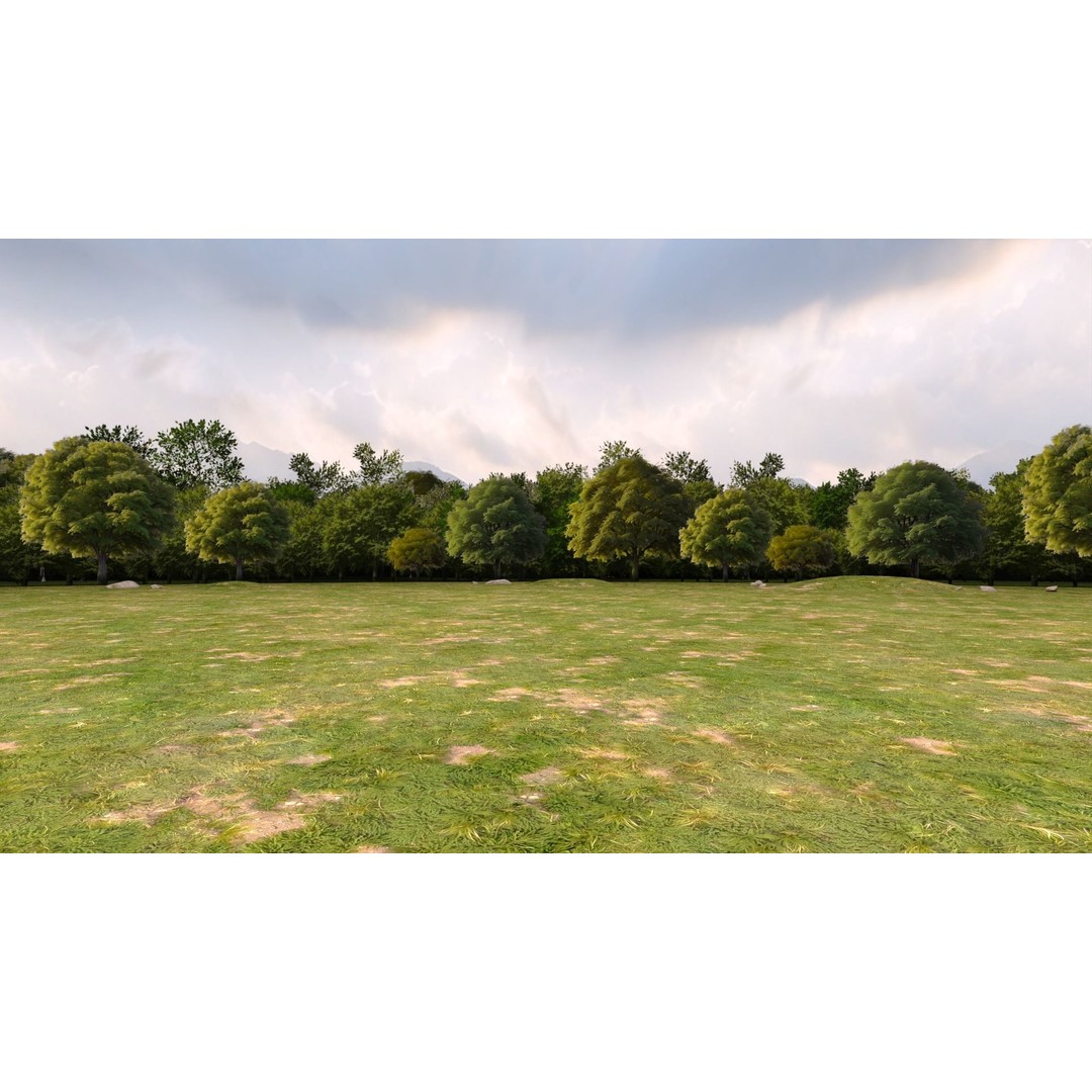 Trees 3D Model – Low Poly Background Asset with PBR Textures - View 7