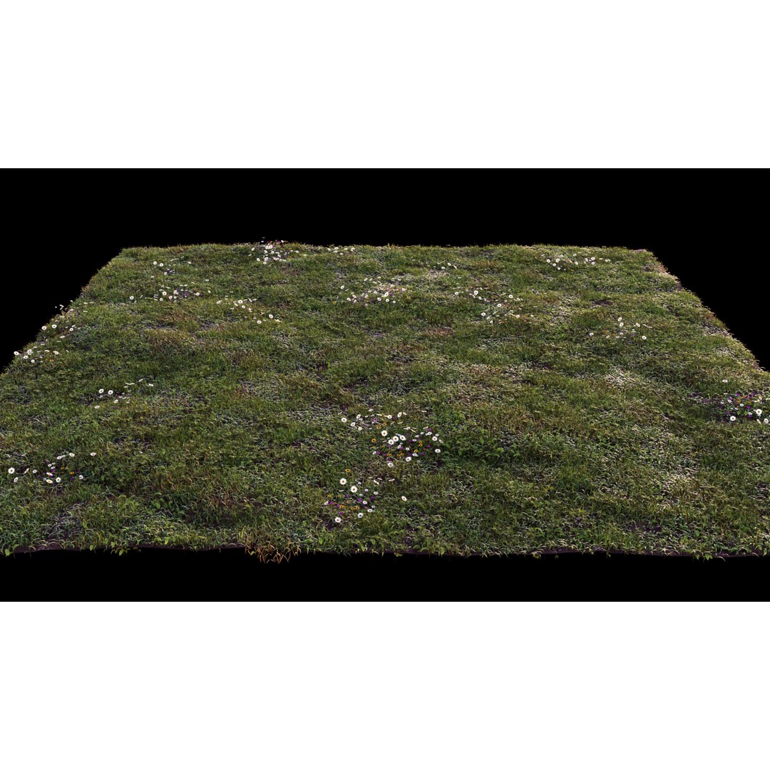 Grass 3D Model – Chaos Scatter Setup for Cinema 4D, PBR Textures