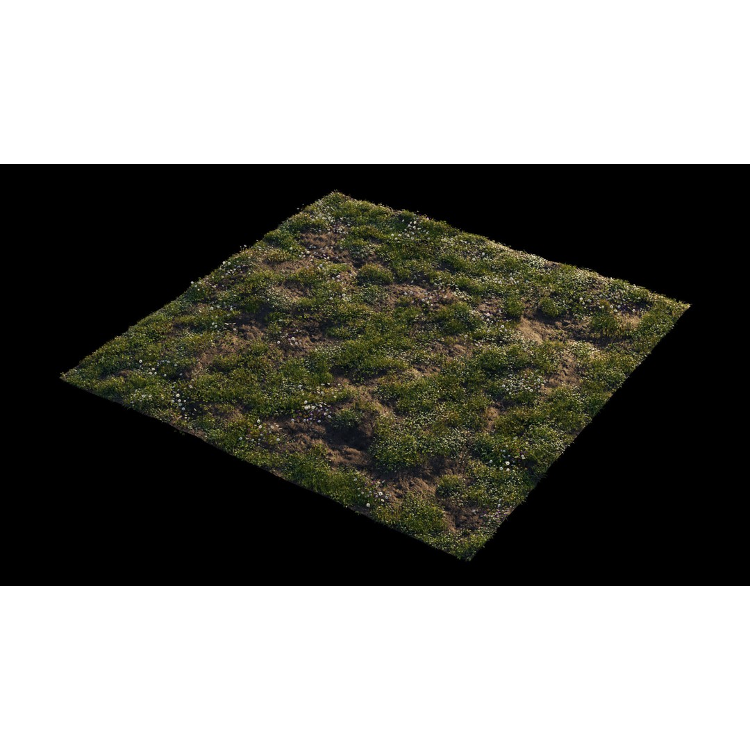 Grass 3D Model – Chaos Scatter Setup for Cinema 4D, PBR Textures - View 11