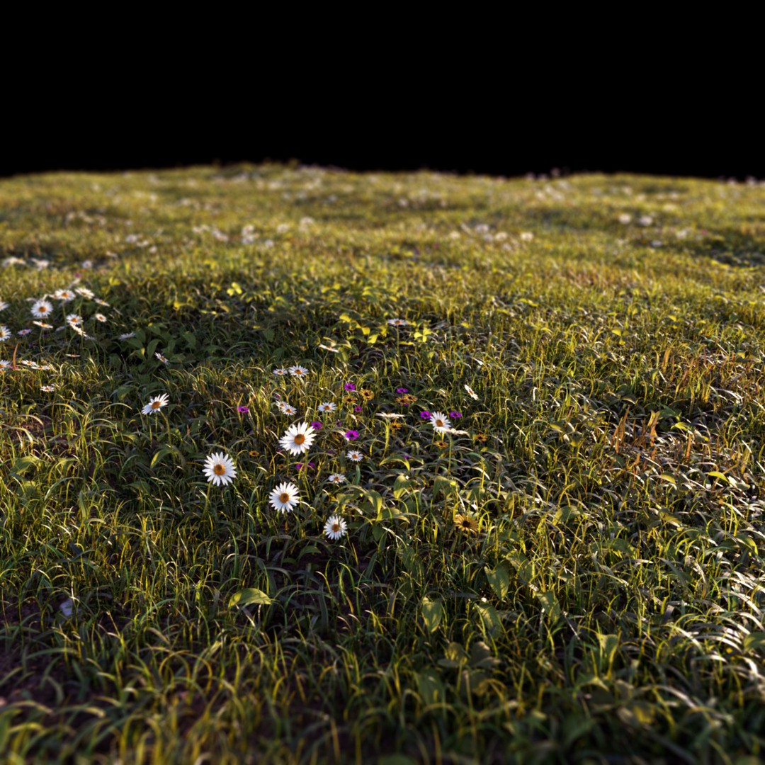 Grass 3D Model – Chaos Scatter Setup for Cinema 4D, PBR Textures - View 12