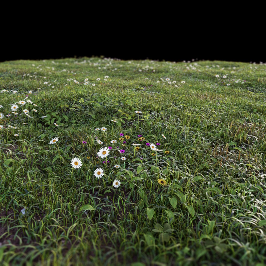 Grass 3D Model – Chaos Scatter Setup for Cinema 4D, PBR Textures - View 13