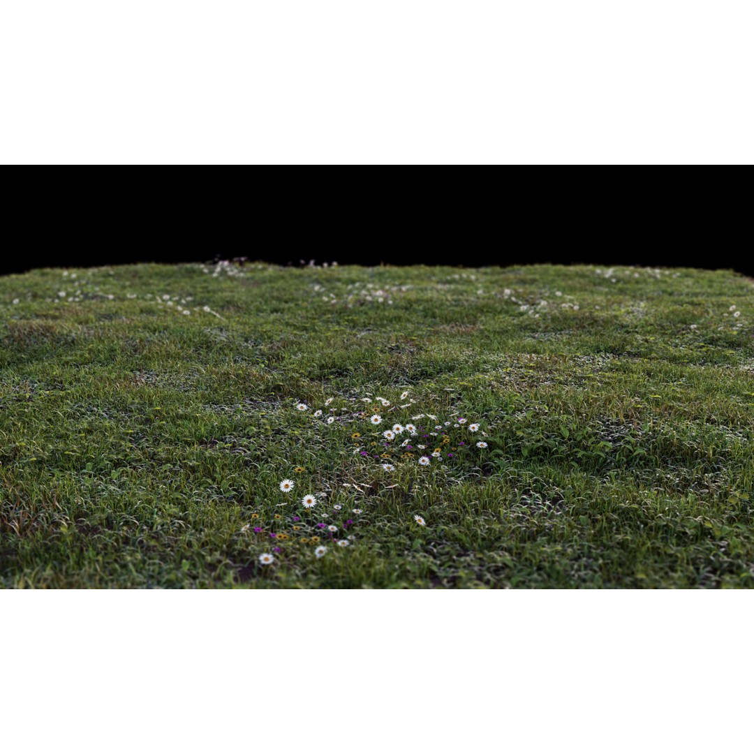 Grass 3D Model – Chaos Scatter Setup for Cinema 4D, PBR Textures - View 14