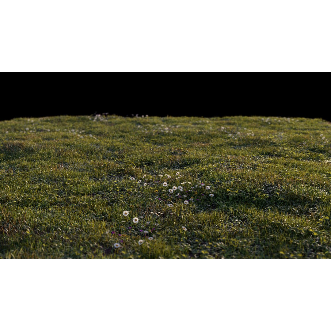 Grass 3D Model – Chaos Scatter Setup for Cinema 4D, PBR Textures - View 15