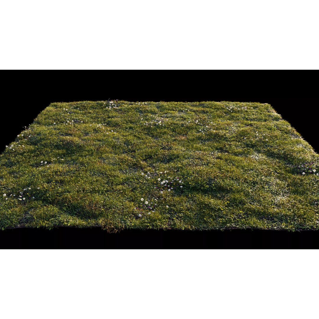 Grass 3D Model – Chaos Scatter Setup for Cinema 4D, PBR Textures - View 2