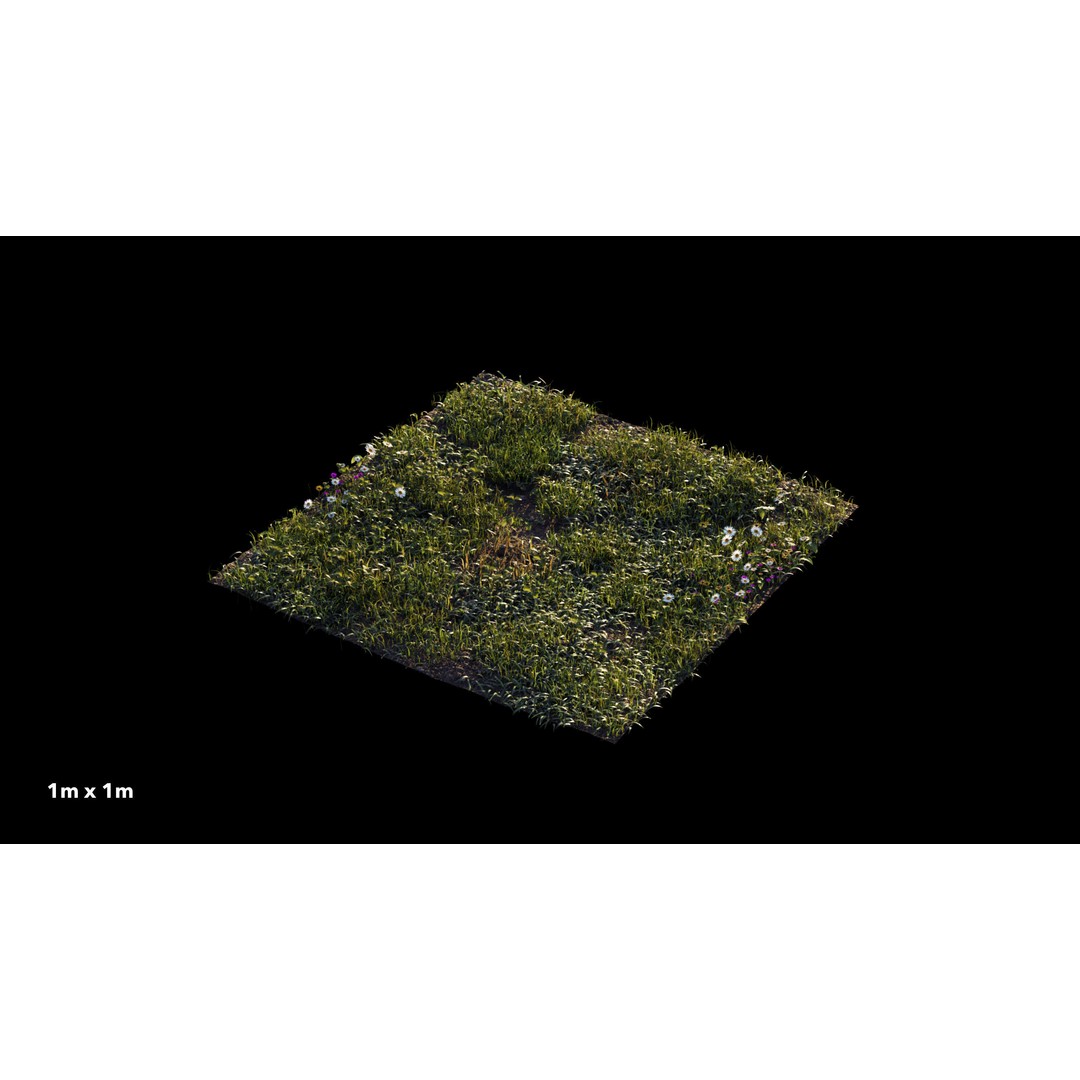 Grass 3D Model – Chaos Scatter Setup for Cinema 4D, PBR Textures - View 4