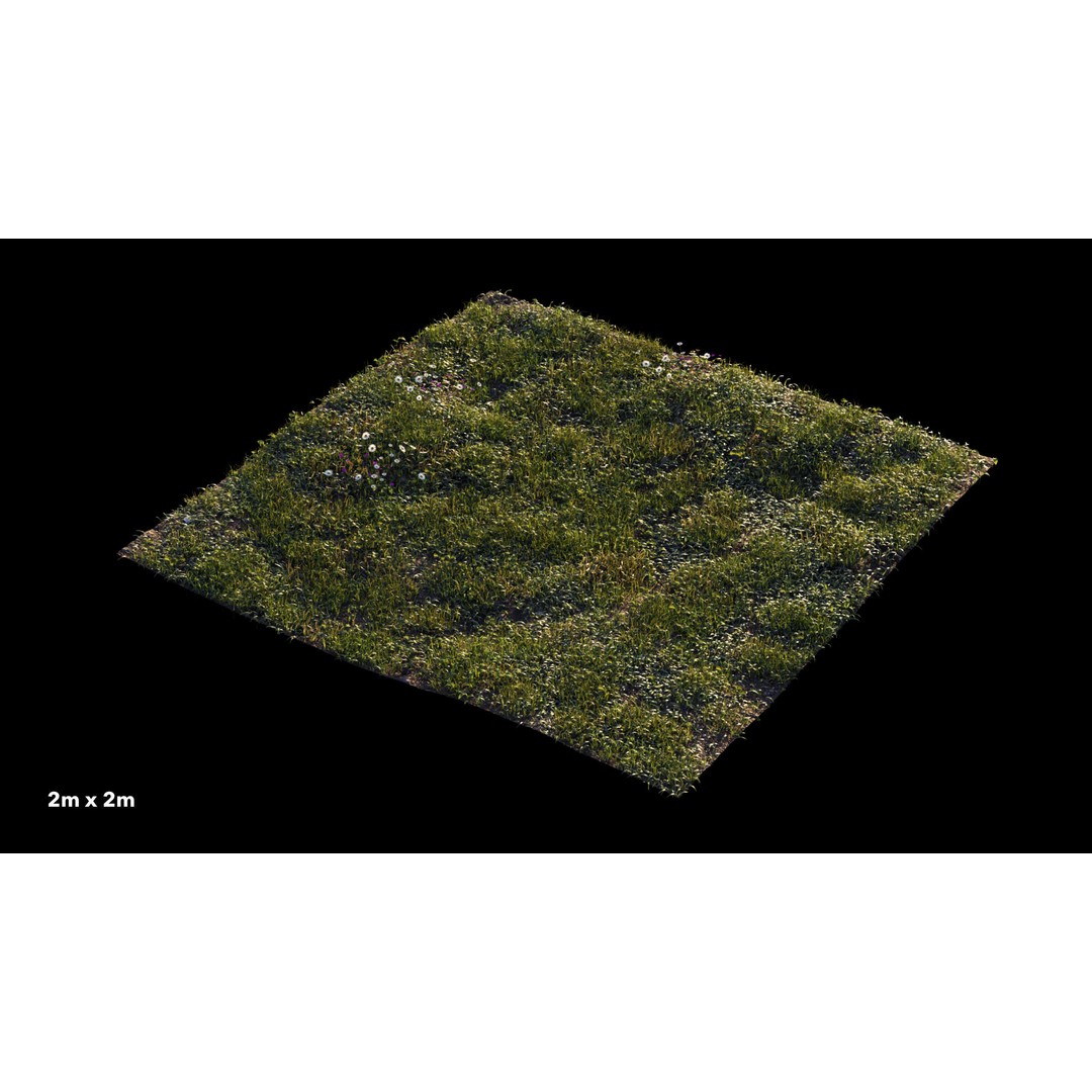 Grass 3D Model – Chaos Scatter Setup for Cinema 4D, PBR Textures - View 5