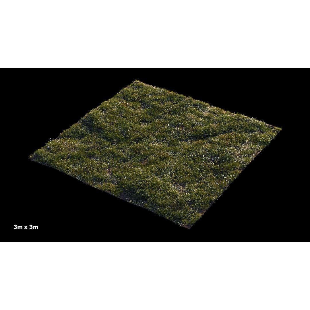 Grass 3D Model – Chaos Scatter Setup for Cinema 4D, PBR Textures - View 6