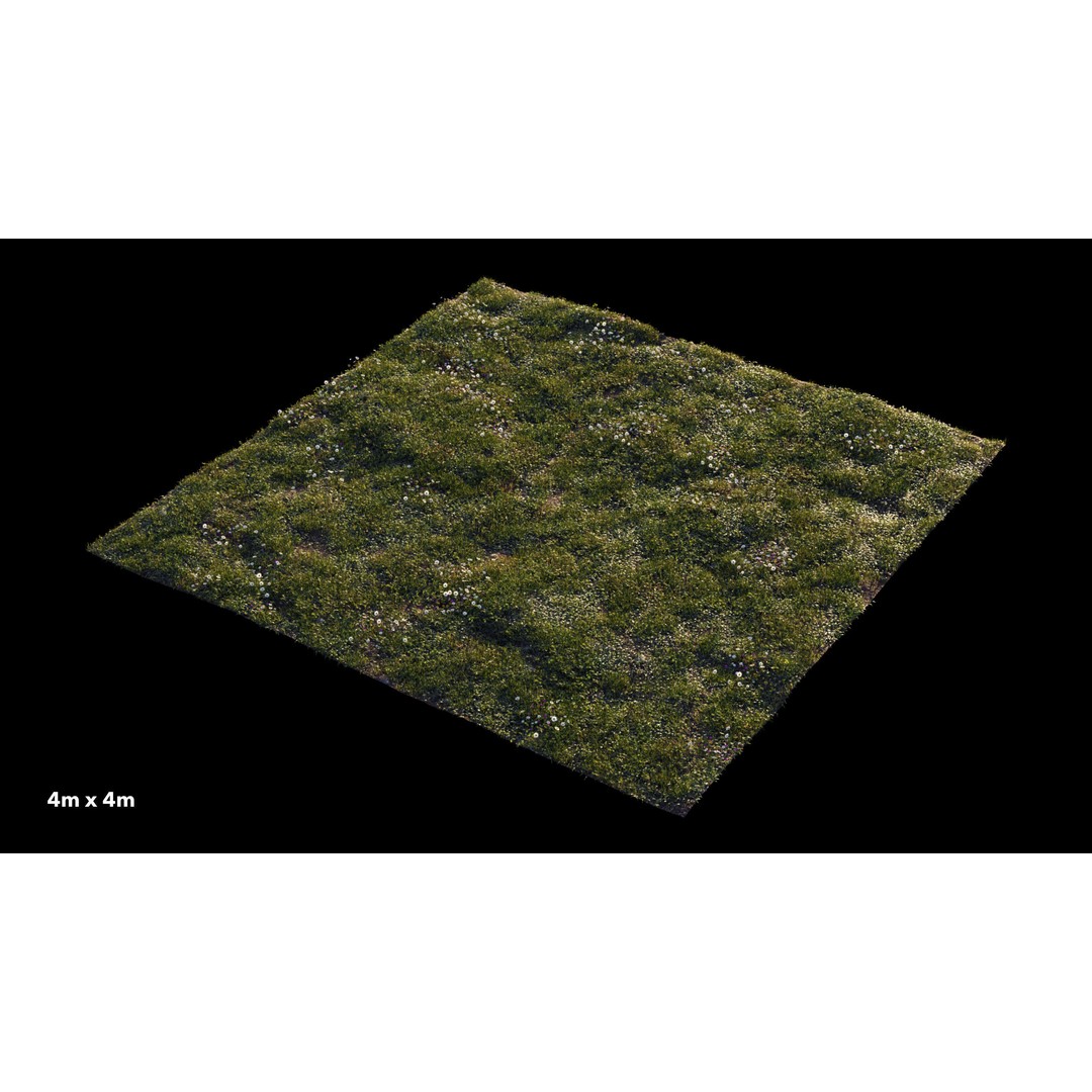 Grass 3D Model – Chaos Scatter Setup for Cinema 4D, PBR Textures - View 7