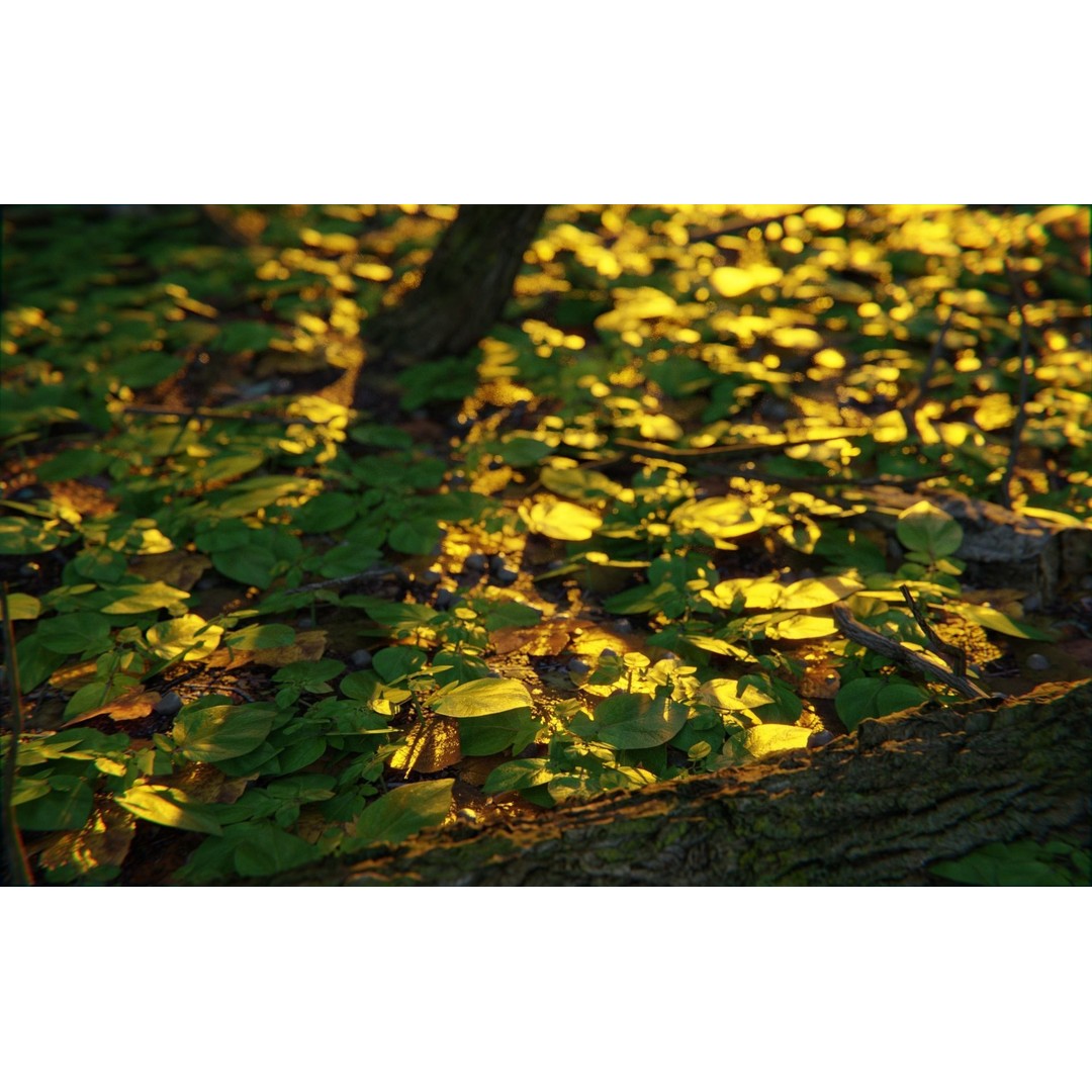 Forest Train 3D Model – High Poly Environment with PBR Textures, Blender - View 17