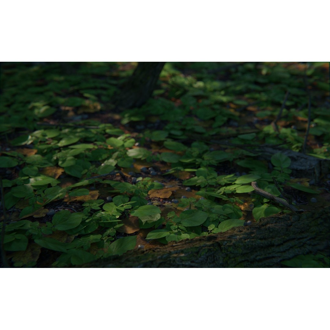 Forest Train 3D Model – High Poly Environment with PBR Textures, Blender - View 5