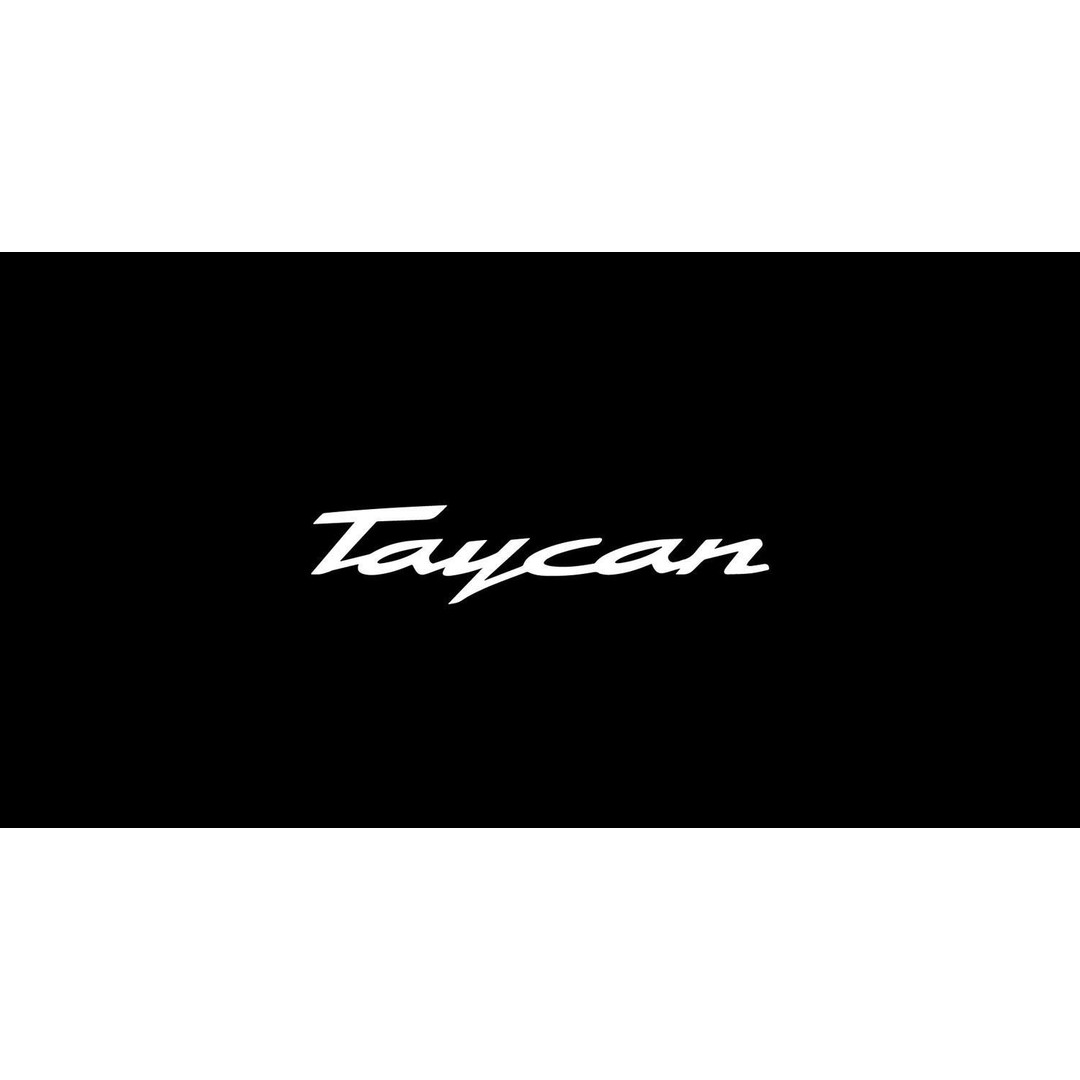 2025 Porsche Taycan 3D Model – High-Detail Racing Car, FBX & 3Ds Max - View 13