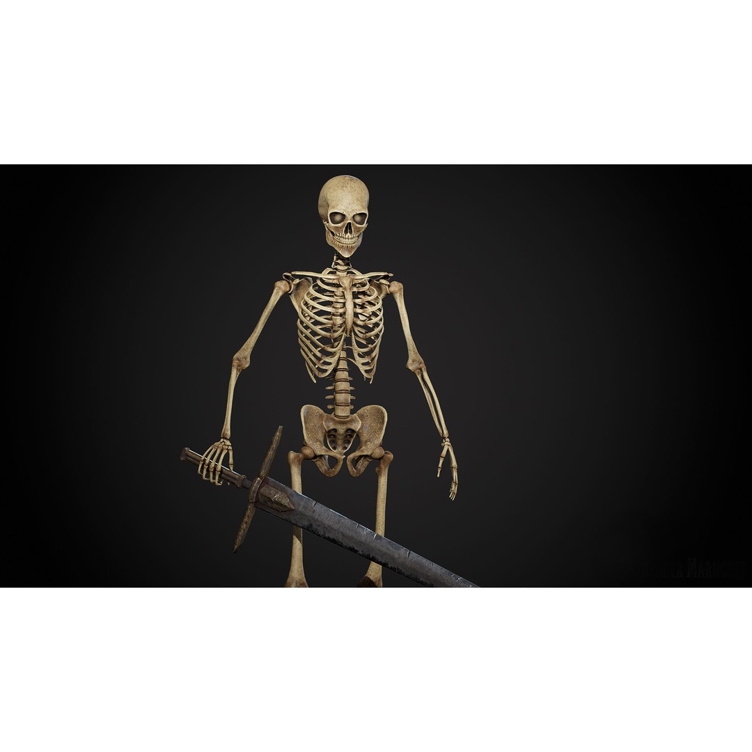Skeleton Lord 3D Model – Low Poly Game Ready Character, FBX - View 12