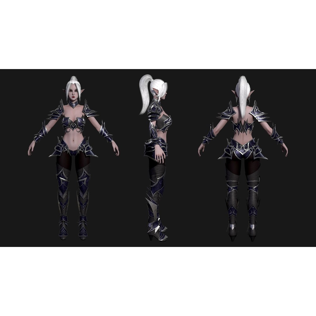Dark Elf Assassin 3D Model – Low Poly Rigged Character, FBX - View 17