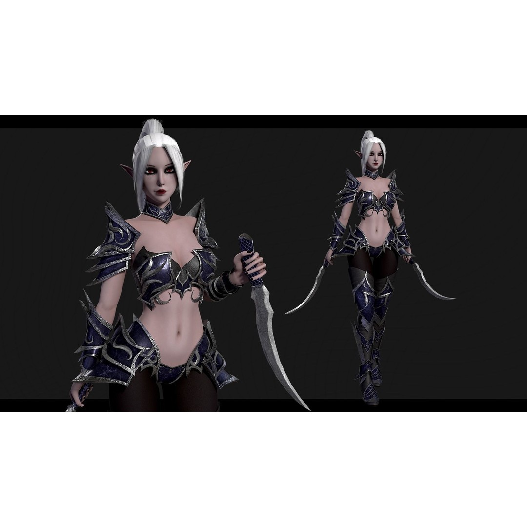Dark Elf Assassin 3D Model – Low Poly Rigged Character, FBX - View 4