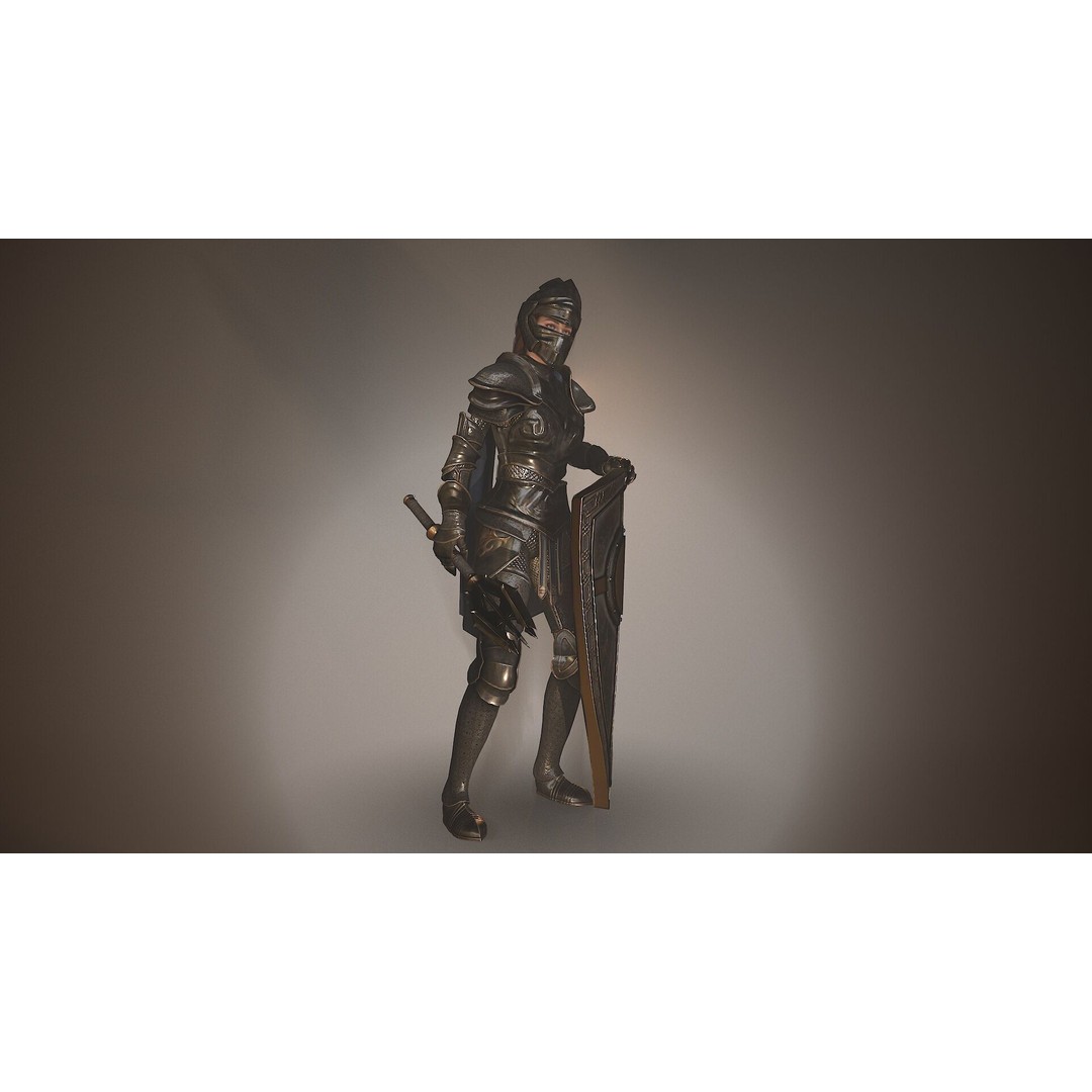 Paladin Lady 3D Model – Low Poly Rigged Character for Games, FBX - View 15
