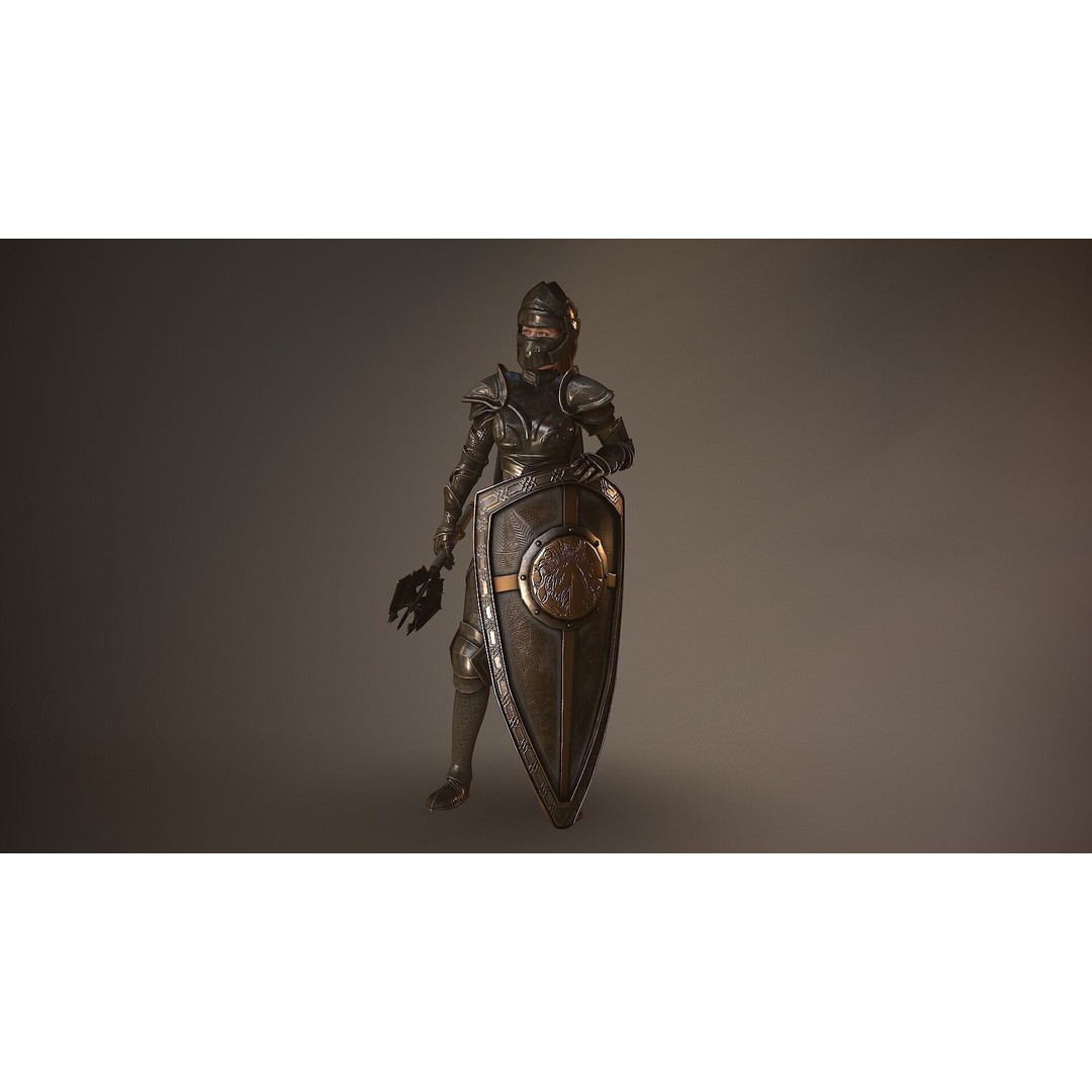 Paladin Lady 3D Model – Low Poly Rigged Character for Games, FBX - View 16