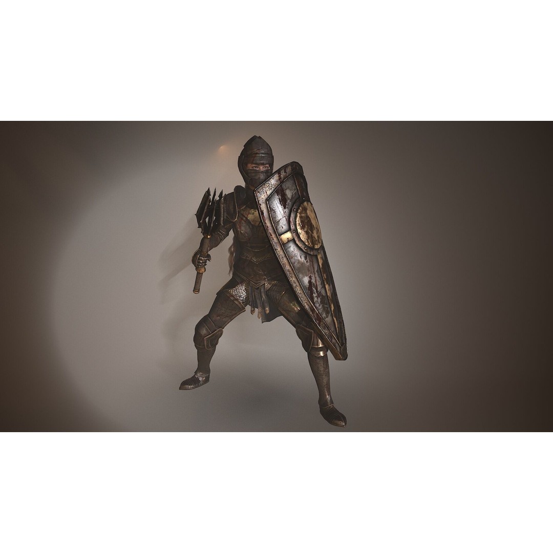 Paladin Lady 3D Model – Low Poly Rigged Character for Games, FBX - View 6
