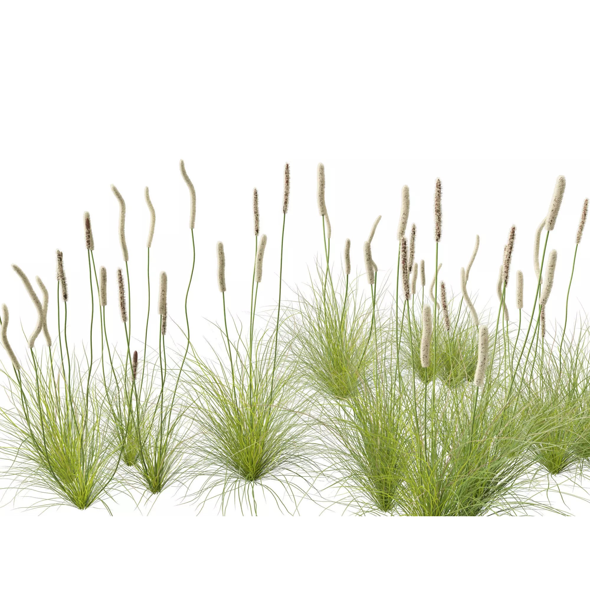 Tropical Architectural Foliage Pack - High-Poly 3D Model