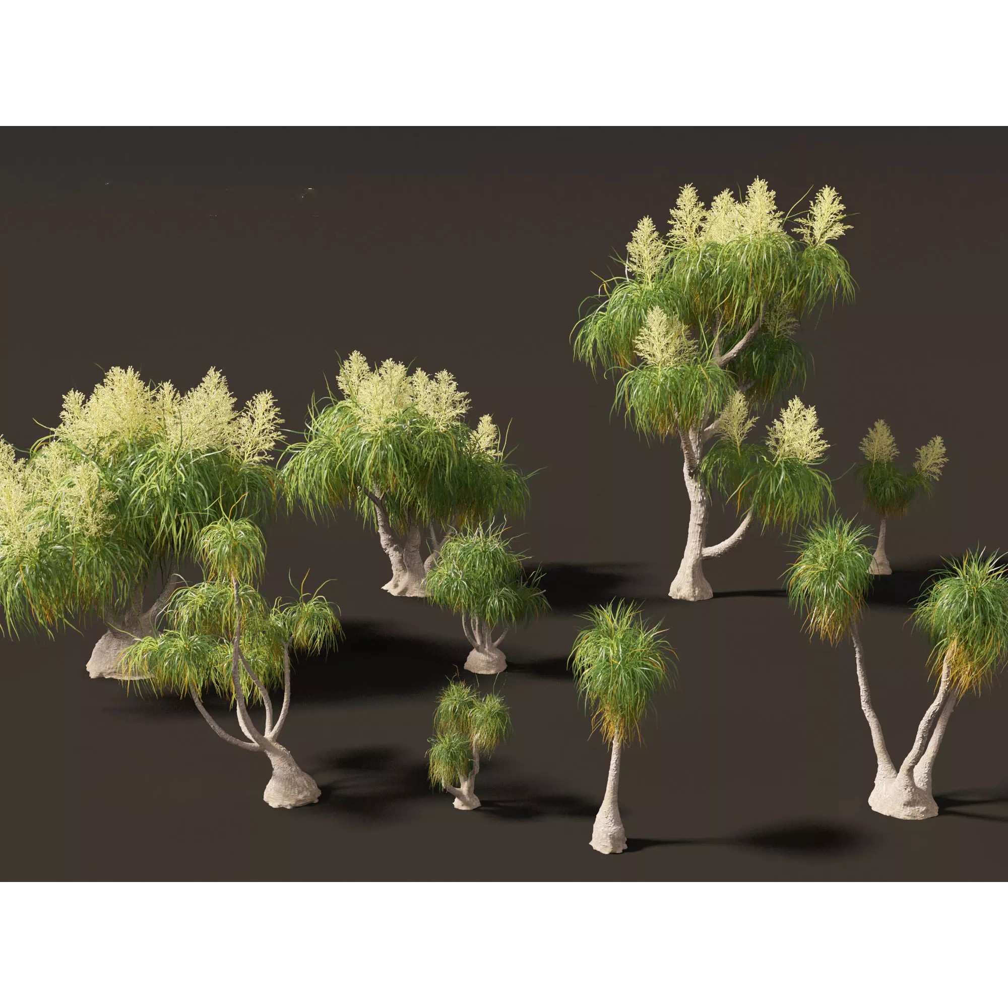 Tropical Architectural Foliage Pack - High-Poly 3D Model - View 13