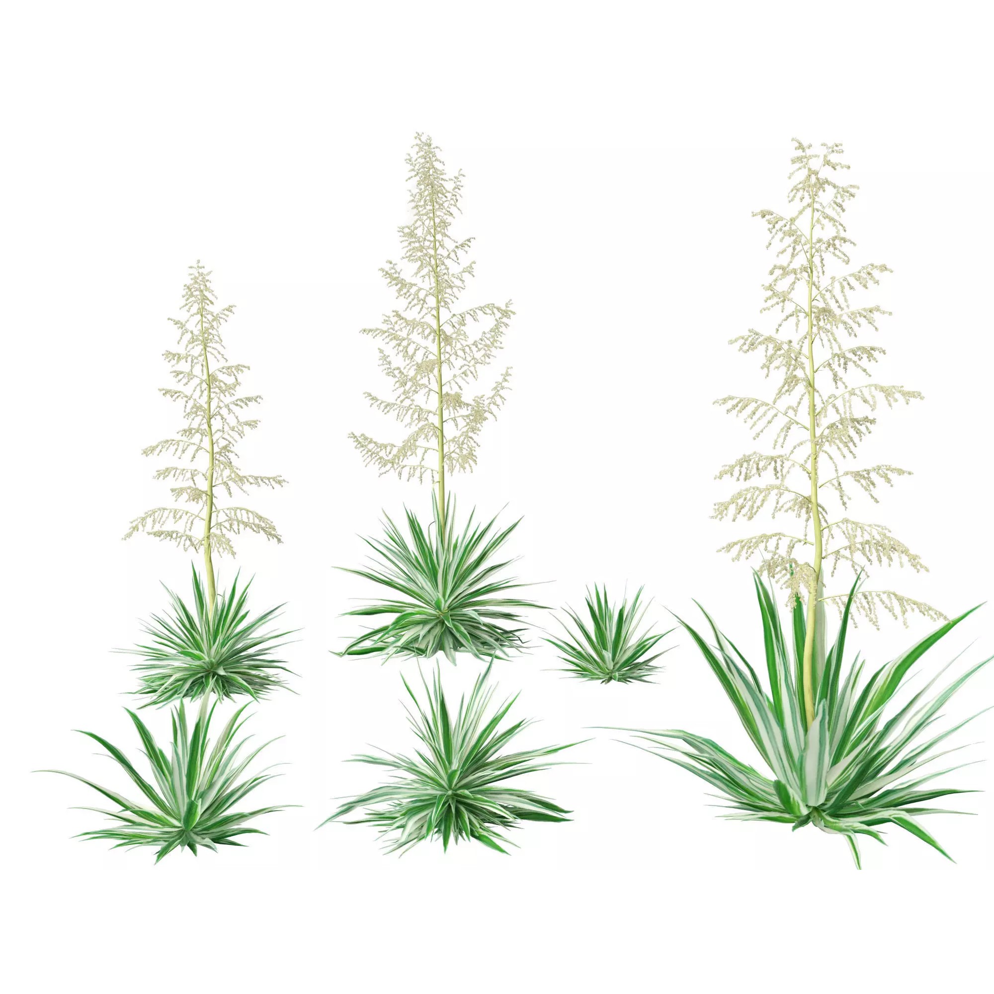 Tropical Architectural Foliage Pack - High-Poly 3D Model - View 17