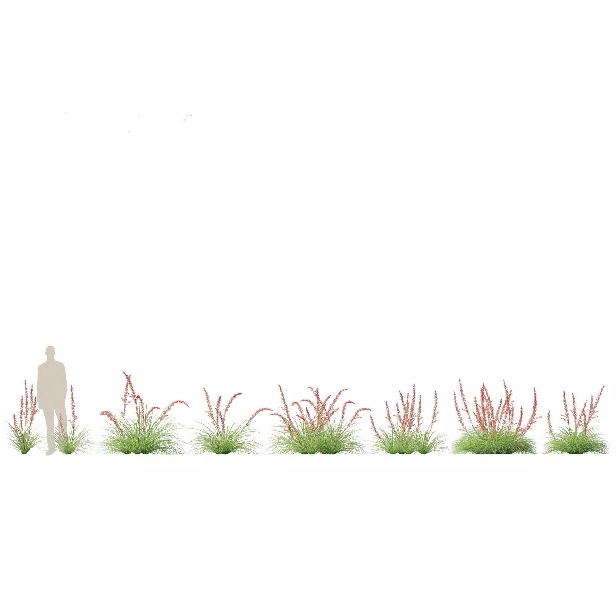 Tropical Architectural Foliage Pack - High-Poly 3D Model - View 18