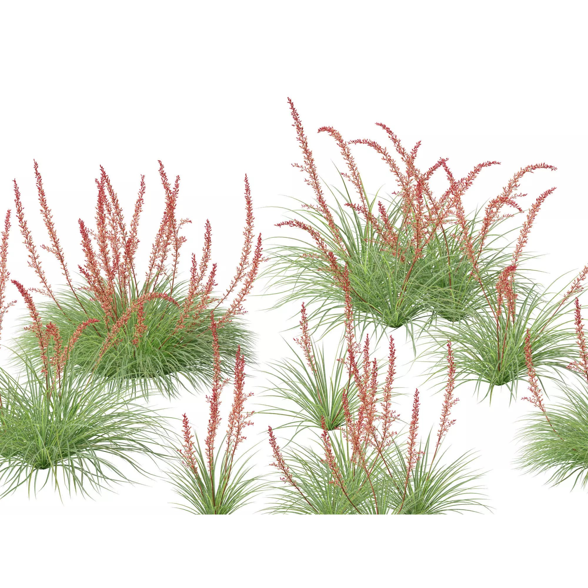 Tropical Architectural Foliage Pack - High-Poly 3D Model - View 19