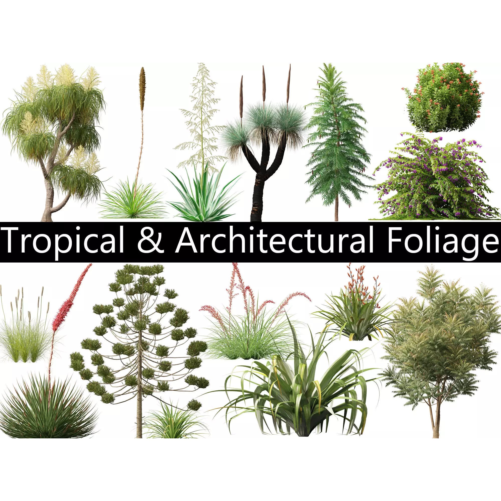 Tropical Architectural Foliage Pack - High-Poly 3D Model - View 2