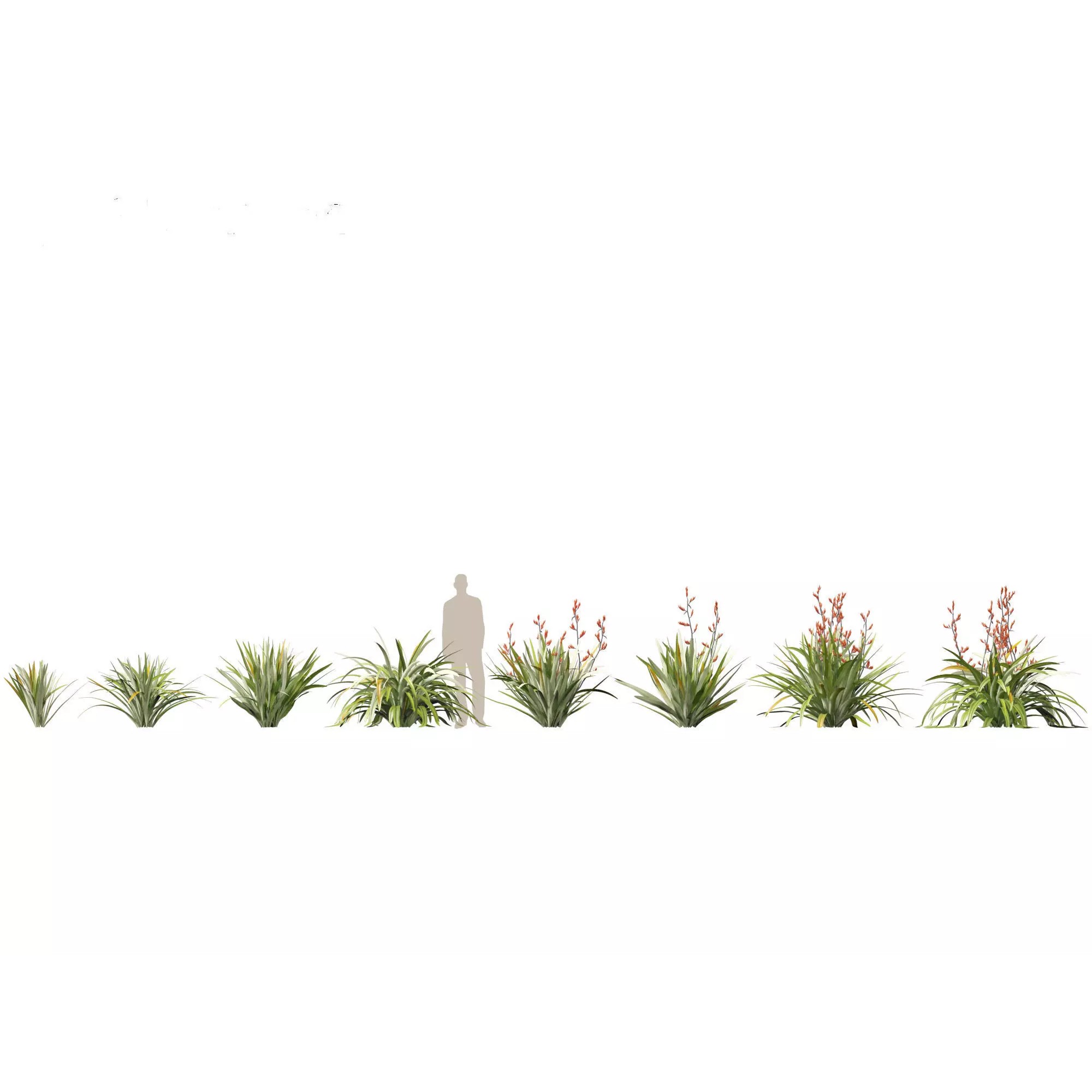 Tropical Architectural Foliage Pack - High-Poly 3D Model - View 20