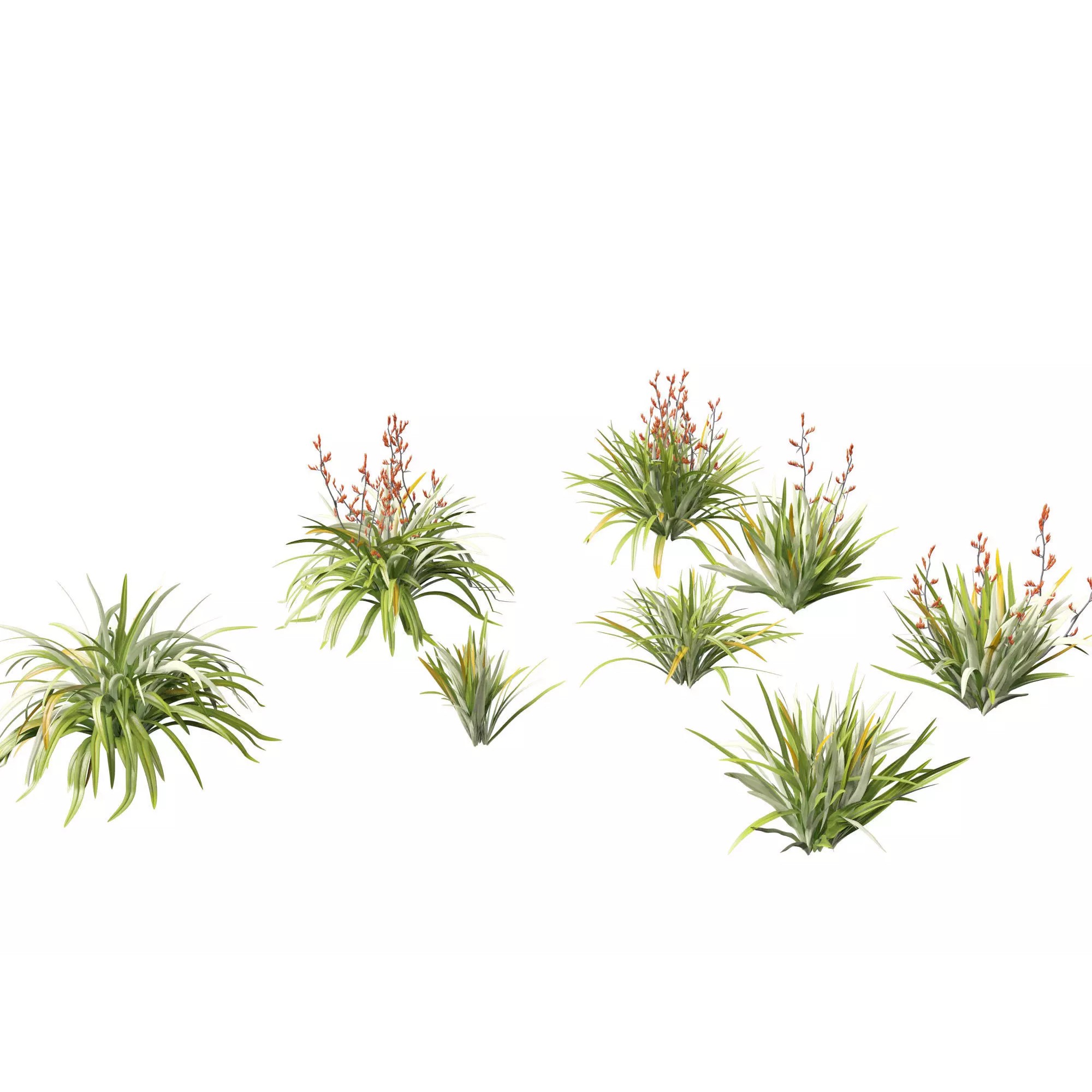 Tropical Architectural Foliage Pack - High-Poly 3D Model - View 21