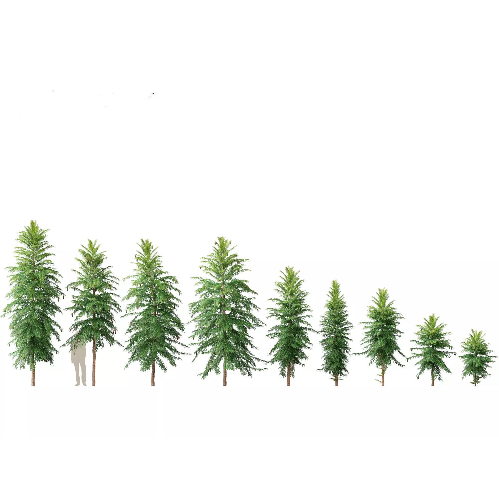 Tropical Architectural Foliage Pack - High-Poly 3D Model - View 26