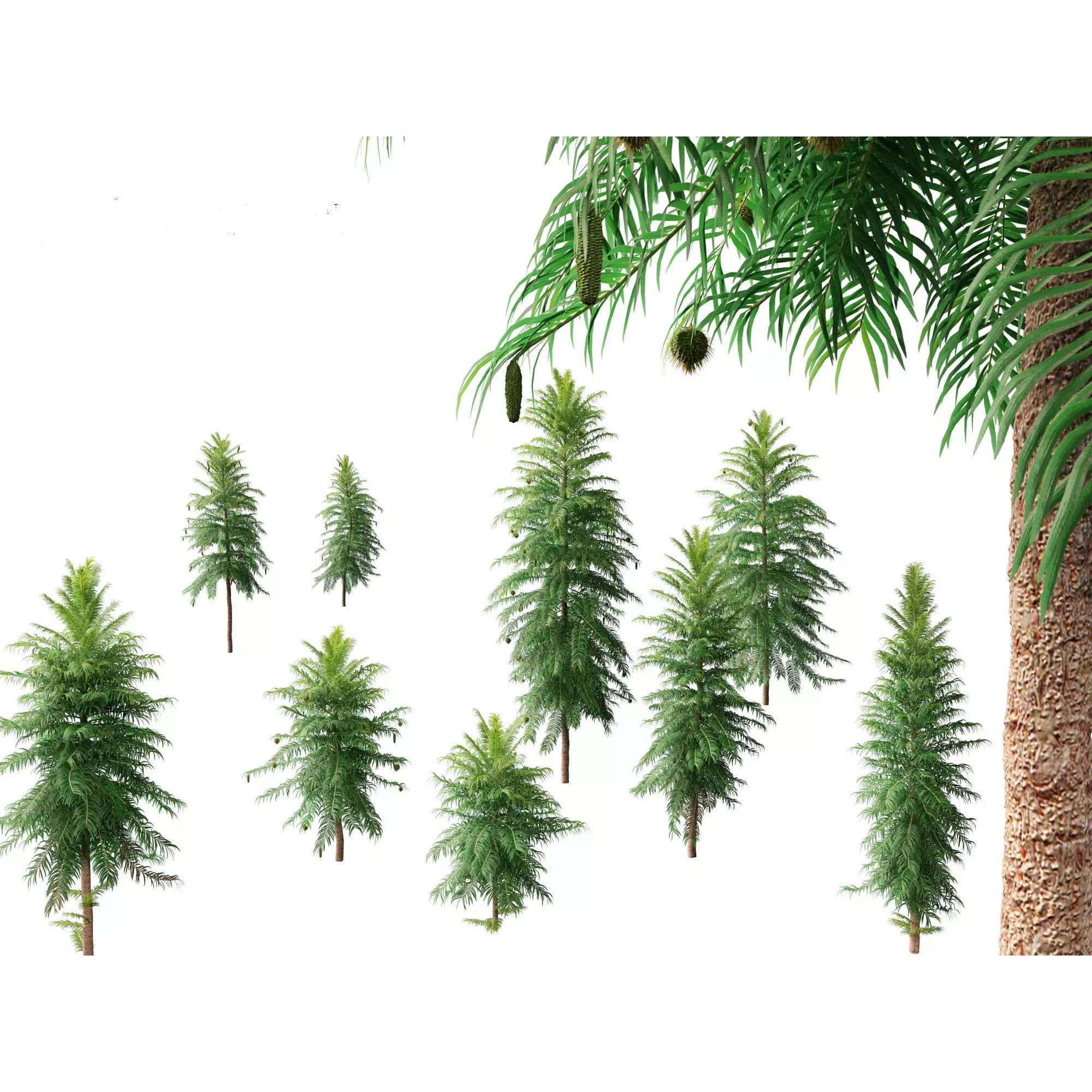 Tropical Architectural Foliage Pack - High-Poly 3D Model - View 27